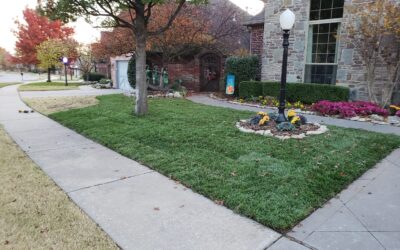 Keeping Up With Your Landscape