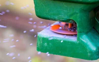 Tale as Old as Time: Fertilizer and the Weeds