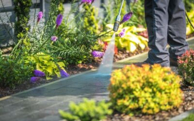 Downloader.la 629d483e0c2ad - Fair Outdoor Design & Maintenance Pressure Washing – Don’t Try This at Home!