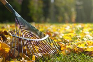 Leaf removal in Broken Arrow