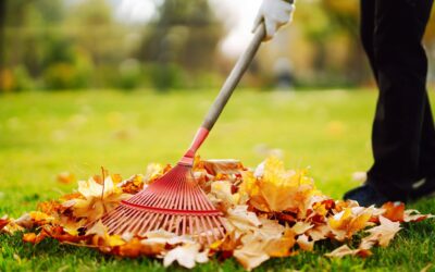 7xm.xyz381417 - Fair Outdoor Design & Maintenance Leaves Be Gone