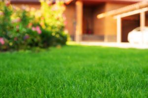Seasonal clean-up in Broken Arrow