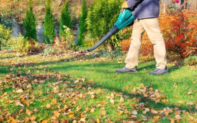 5c705add74 - Fair Outdoor Design & Maintenance Revamp Your Outdoor Space: Professional Tips for a Spring Yard Clean Up