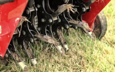 closeup of aerator aerating a lawn - Fair Outdoor Design & Maintenance Everything You’ve Ever Wanted to Know About Aeration and Overseeding