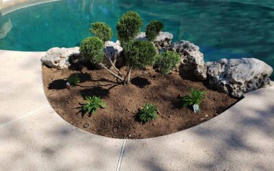 Landscaping for Allergies: Creating Allergy-Friendly Residential Landscapes